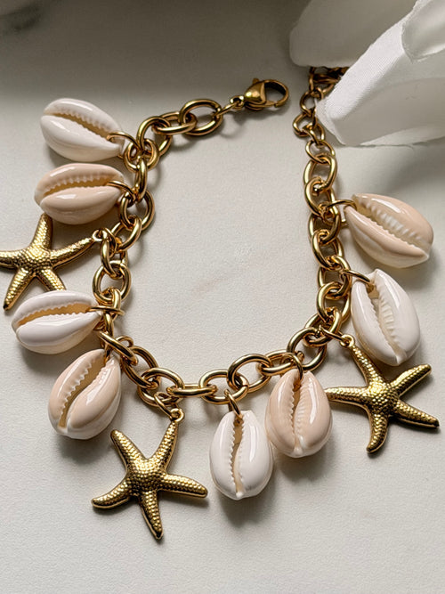Coquillage
